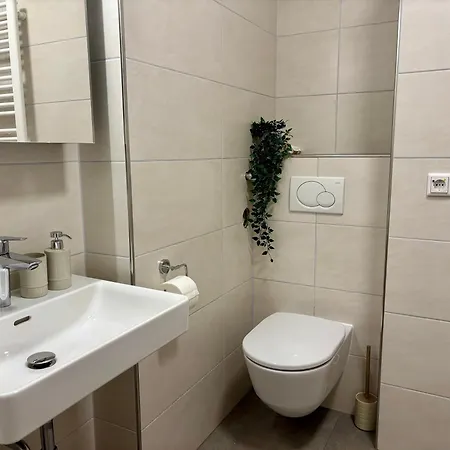 Appartement Spacious Design Altstadt I Free Wine And Coffee